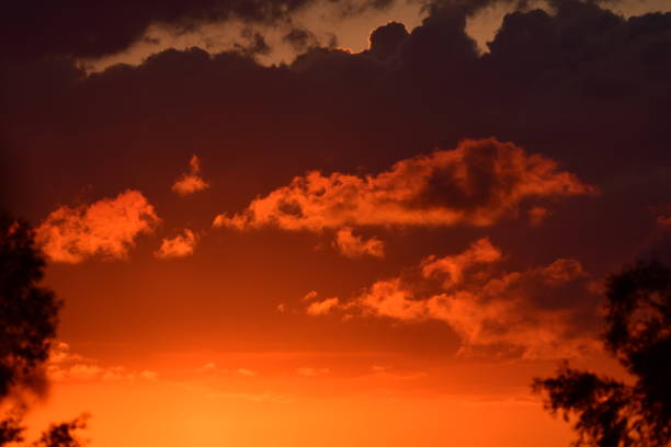istock View through trees of orange sunset lighting up clouds 990315794