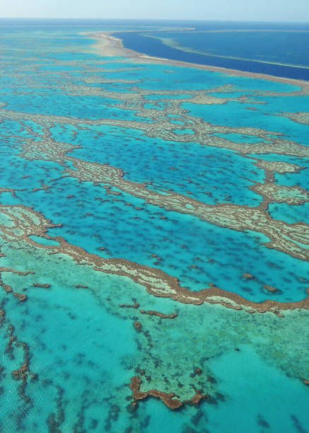 istock Aerial view of the Great Barrier Reef 990320268