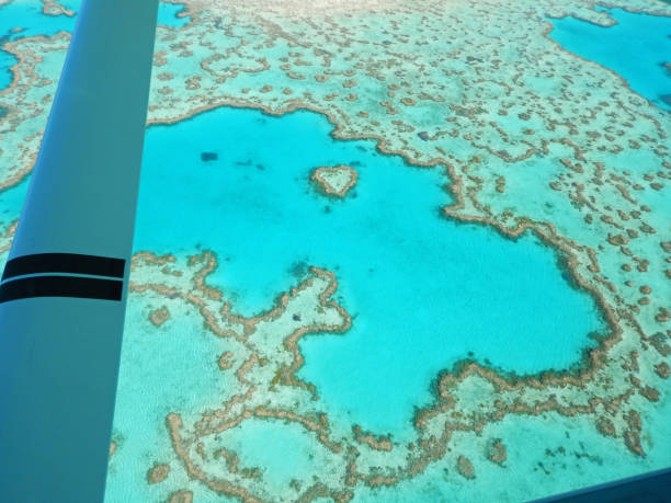 istock Aerial view of the Great Barrier Reef 990320352