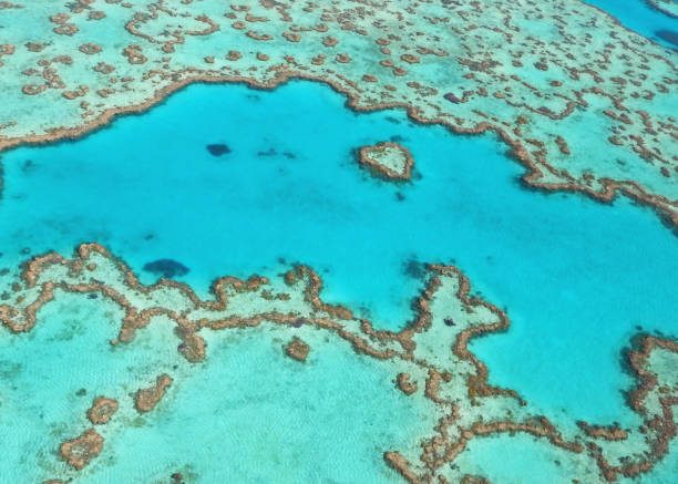 istock Aerial view of the Great Barrier Reef 990320442