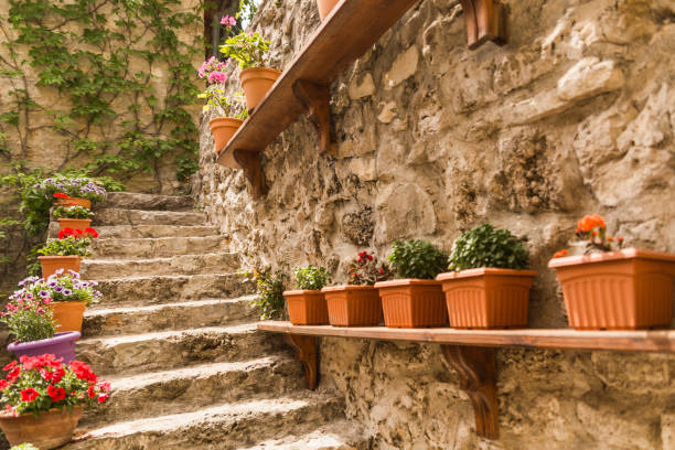istock pots flowers wall summer decoration in  greece 990327052