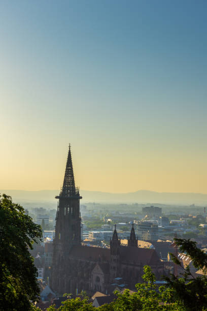 istock Germany, Evening light over Minster of Freiburg im Breisgau 990327908