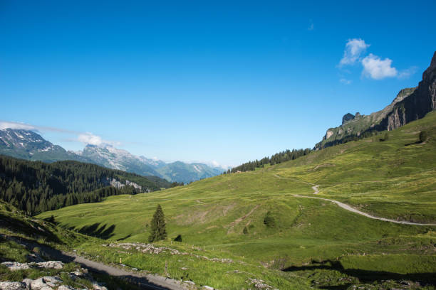 istock Pragelpass 1548m switzerland 990335488
