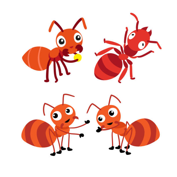 Ant Character Vector Design Stock Illustration - Download Image Now - Ant,  Cute, Vector - iStock