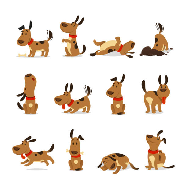 Cartoon dog set. Dogs tricks and action digging dirt eating pet food jumping sleeping running and barking vector illustration Cartoon dog set. Dogs tricks icons and action training digging dirt eating pet food jumping wiggle sleeping running and barking brown happy cute animal poses vector isolated symbol illustration group of objects illustrations stock illustrations