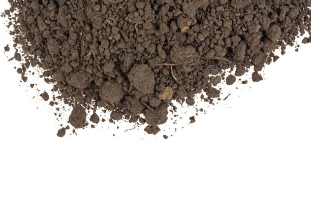 istock pile of soil on a white background 990365562