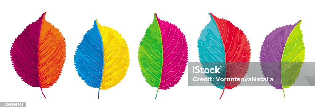 Colorful Leaves Vector Set Stock Illustration - Download Image Now ...