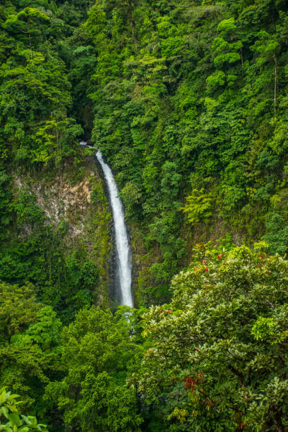 istock La Fortuna waterfall fall detail 990375944