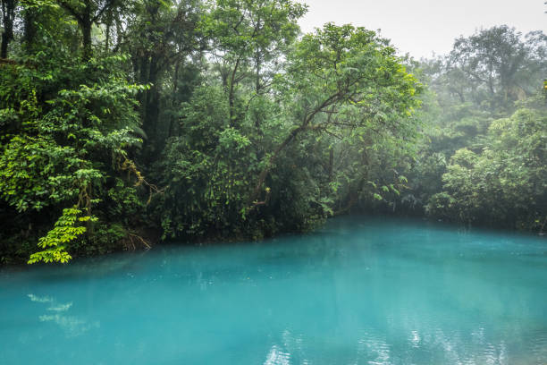 рио селеста голубая кислотная вода в тумане - челеста стоковые фото и изображения