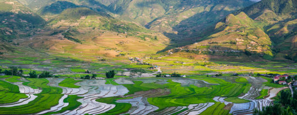 istock Terraced fields in water season 990380046