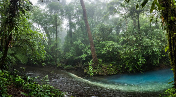 istock Rio Celeste blue acid water in the fog 990381288
