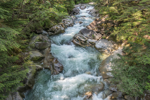 istock Rushing Water On Denny Creek 4 990424870