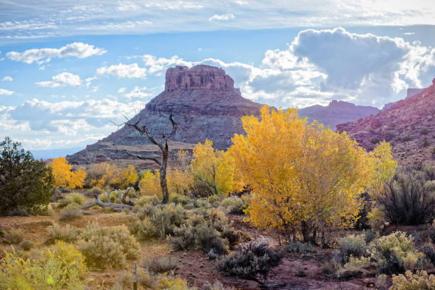 istock Red Rock Formations Near Canyonlands National Park, Utah. 990428754