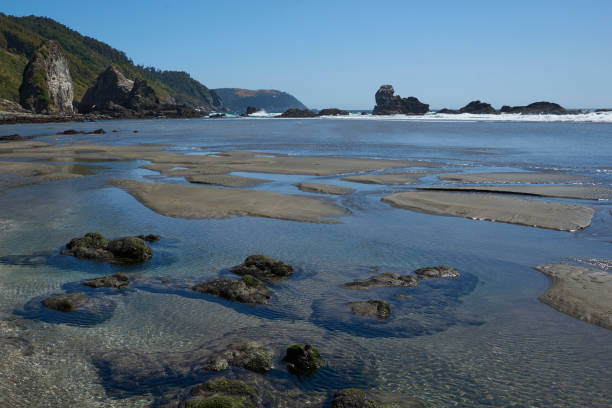 istock Pacific coast of Chile 990442596