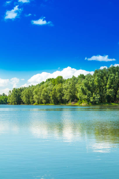 istock Kopacki rit in Slavonia, Croatia 990445464