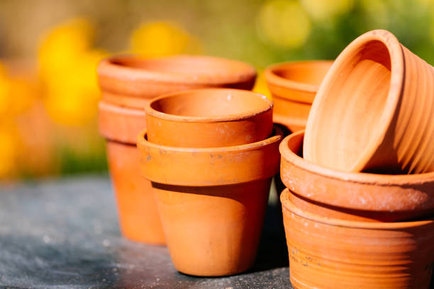 Group of plant pots in a garden.