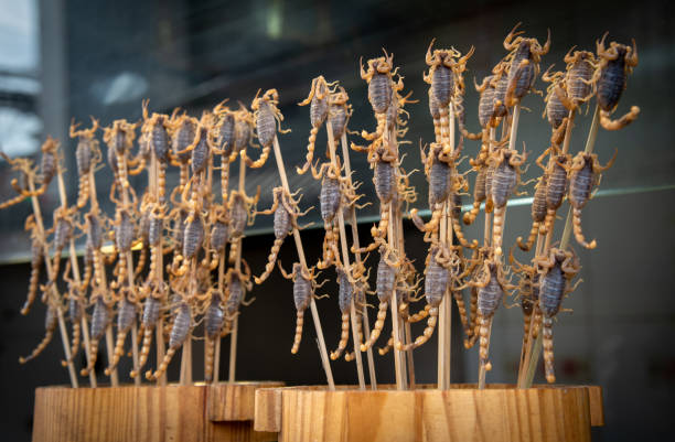 istock Fried delicious scorpions on the stick 990447252