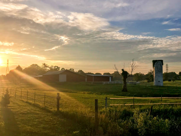 istock Sun setting over Southern Indiana farm 990449696