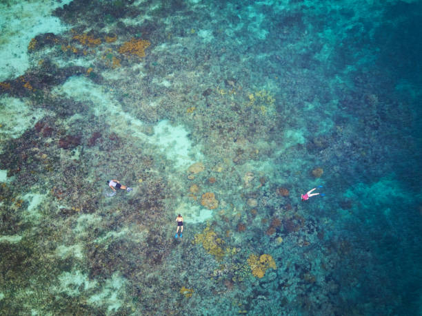 istock Above view on people in snorkeling activity 990462212