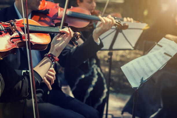 la orquesta de música clásica. - orquesta sinfónica fotografías e imágenes de stock