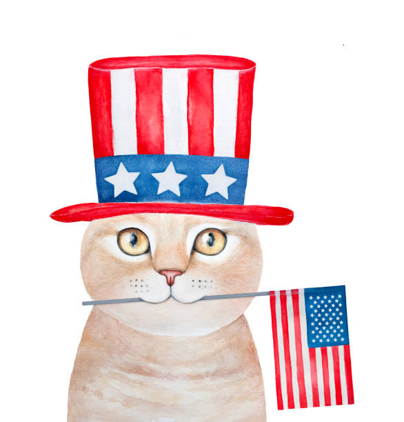 illustrazioni stock, clip art, cartoni animati e icone di tendenza di carino sorriso zenzero tabby personaggio gatto vestito con cappello americano e portando bandiera degli stati uniti. illustrazione patriottica. - party hat hat white background blue