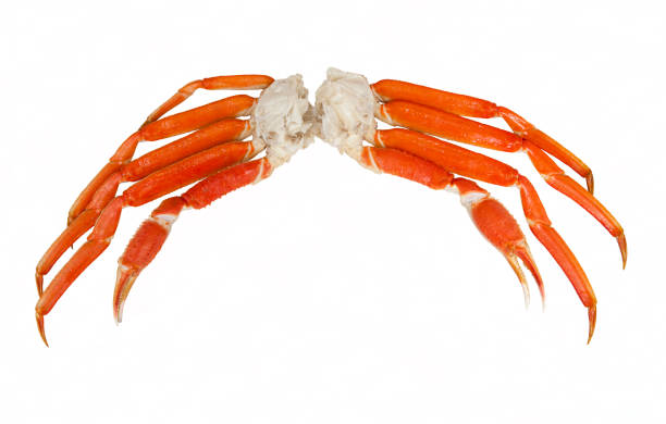 Crab Legs on a White Background Crab legs on a white background crab leg stock pictures, royalty-free photos & images