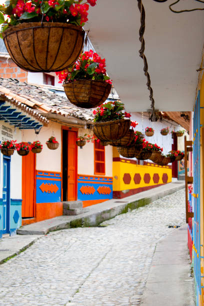 istock colorful street and plants 990466812