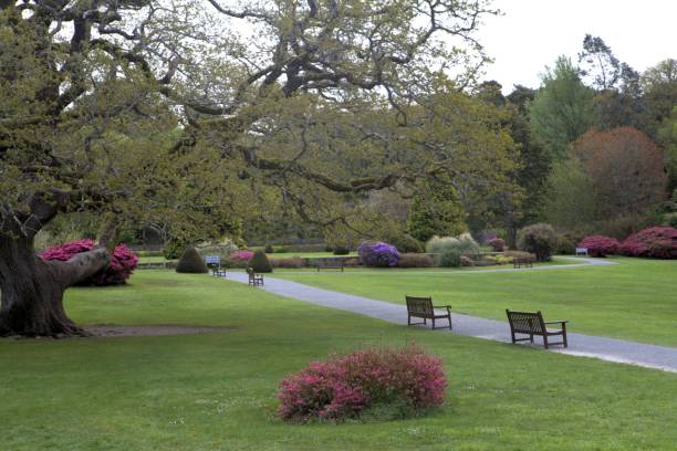 istock Gardens at Muckross House 990469304