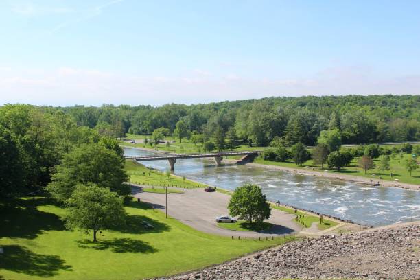 istock Landscape of the Park 990473168