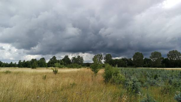 istock Stormy weather sky over field 990480902