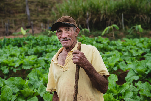 Portrait of elderly farmer at plantation, Brazil