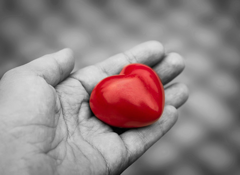 Young woman holds out a red heart in her hand, concept of love, kindness and empathy