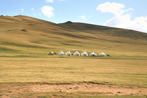 Ger camp in a large meadow at Ulaanbaatar , Mongolia