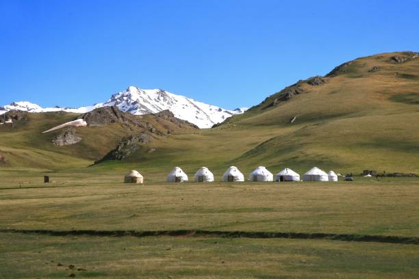 istock The Ger camp in a large meadow at Ulaanbaatar , Mongolia 990498332