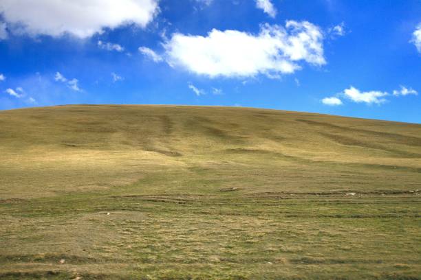 large meadow  with blue sky at Ulaanbaatar , Mongolia