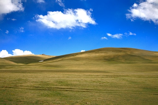 large meadow  with blue sky at Ulaanbaatar , Mongolia