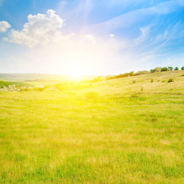 istock Hilly green fields and sunrise on a blue sky. 990505296