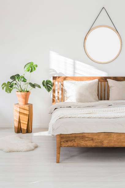 istock Monstera plant on a tree trunk night stand and a round mirror on a white wall in a sunlit bedroom interior with wooden furniture 990530692