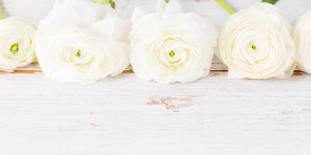 istock Bouquet of White Ranunculus Buttercup Flowers 990538648