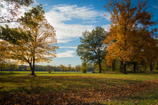 istock Autumn in the Park 990540950