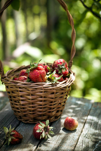 istock Basket of strawberry on rustic table 990542104