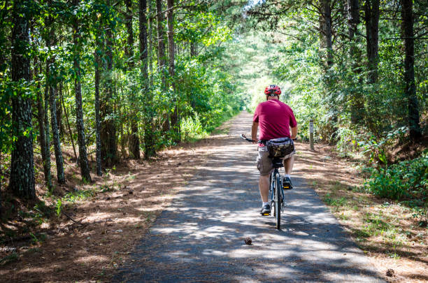 Adult senior man riding bicycle on path through the woods stock photo