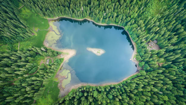 istock Aerial top view on lake Synevyr 990543086