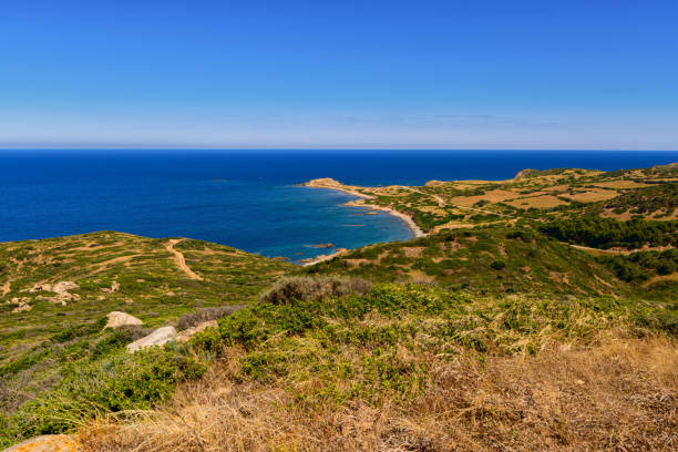 istock Stony Coast At Capo Pecora Buggerru Sardinia Italy Europe 990545716