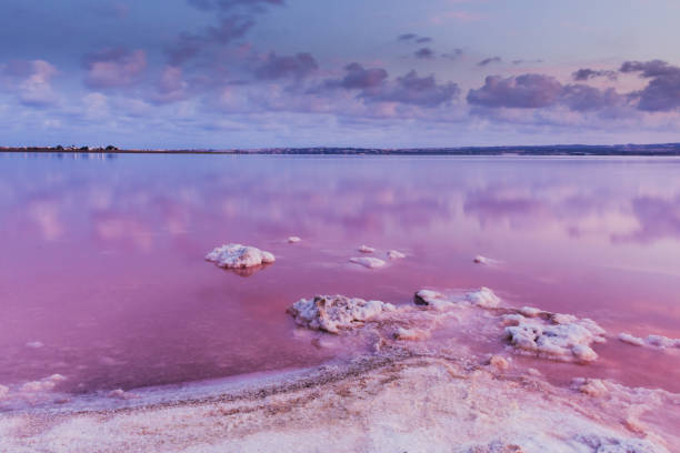 istock Laguna salada of Torrevieja 990545970