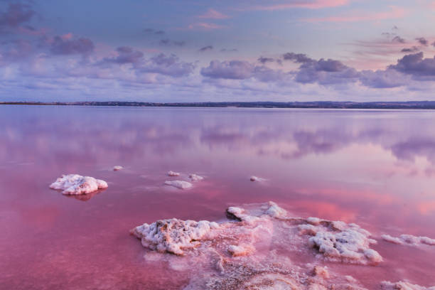 istock Laguna salada of Torrevieja 990545972