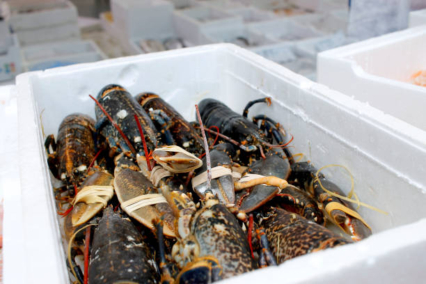 istock Fresh Seafood Market, Wholesale Lobster 990550776