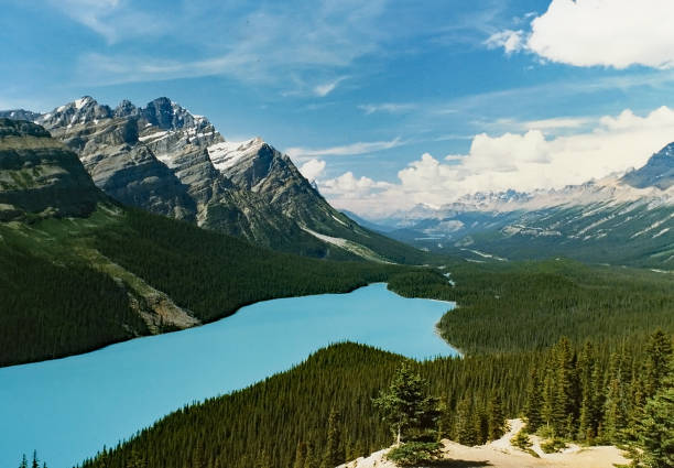istock Scenic Peyto Lake in summer from trail  view point 990560774