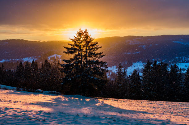 istock Winter sunrise with lonely tree, Little Poland landscape 990560892