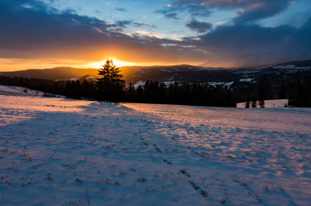 istock Winter sunrise with lonely tree, Little Poland landscape 990560930